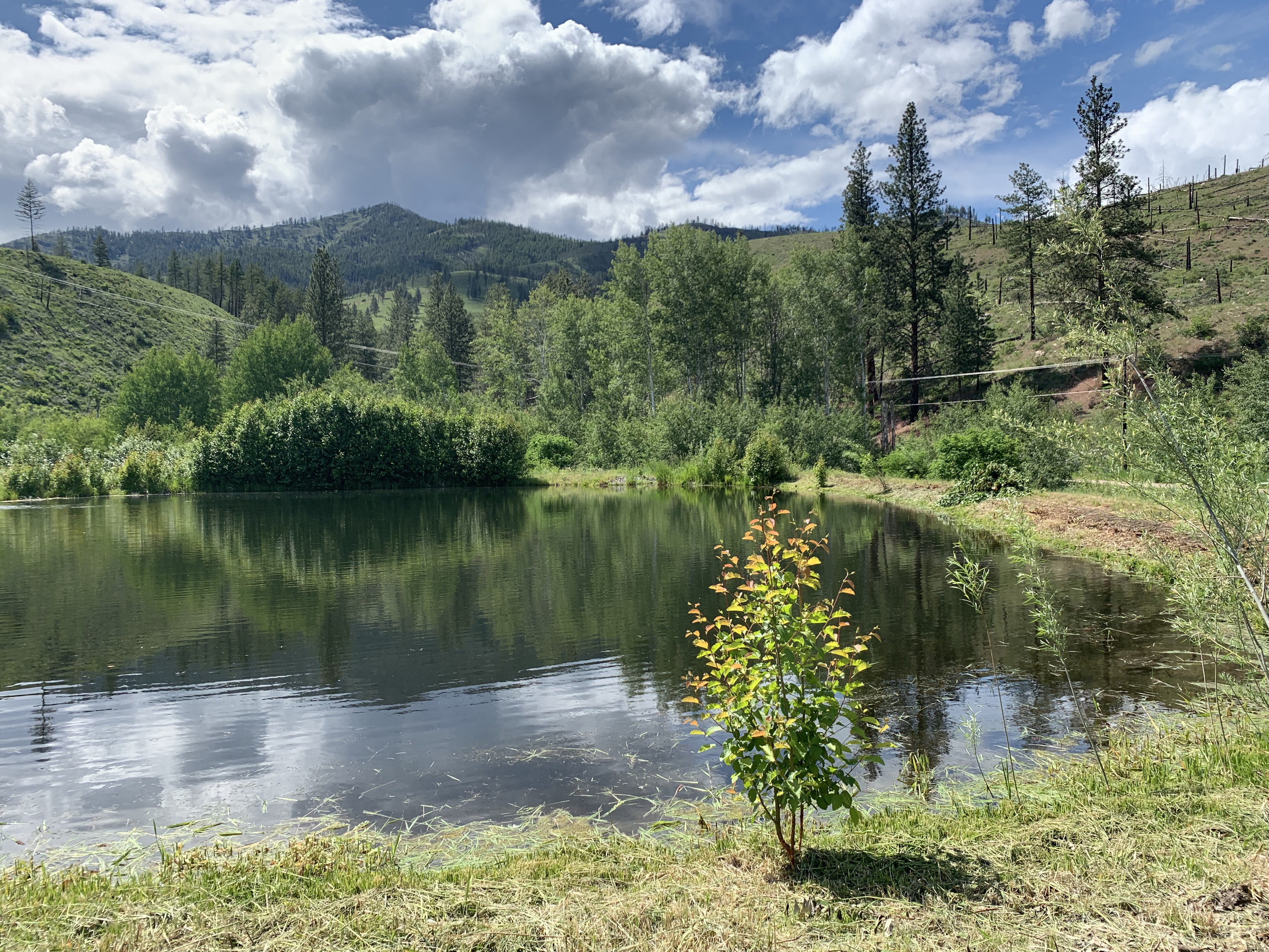 F250CE38-8C37-4004-BEAE-2DE24307ABD0